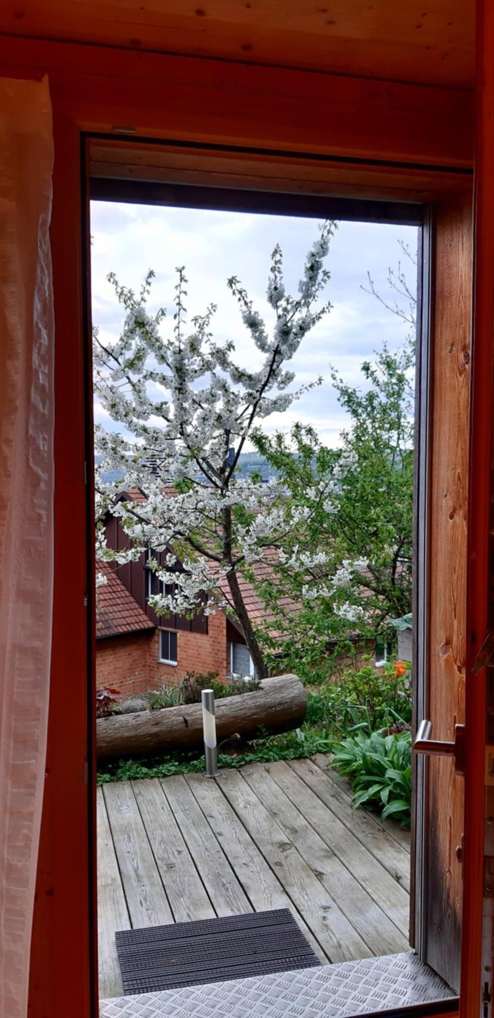 B&B Sunnesite Pratteln Esterno foto